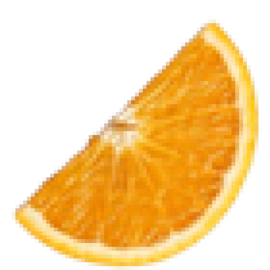 Orange_slice_1